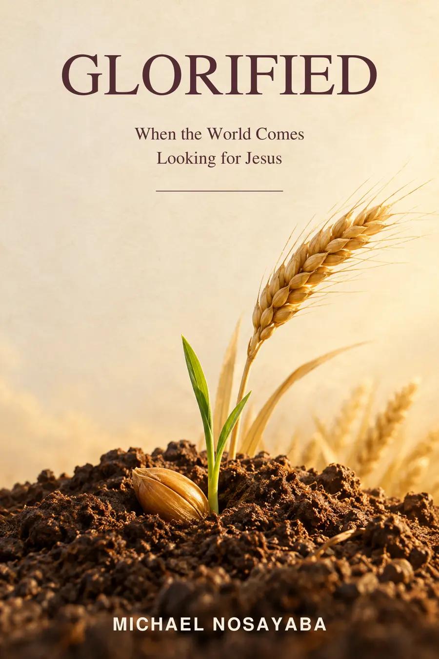 Glorified book cover